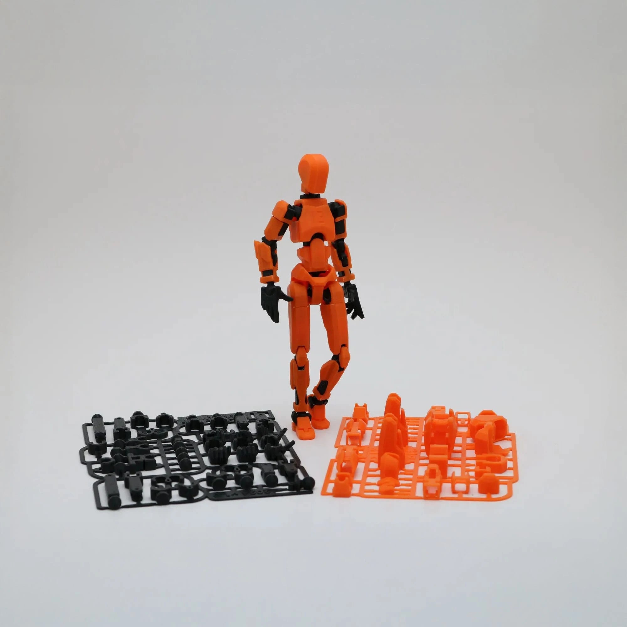 Dummy 13