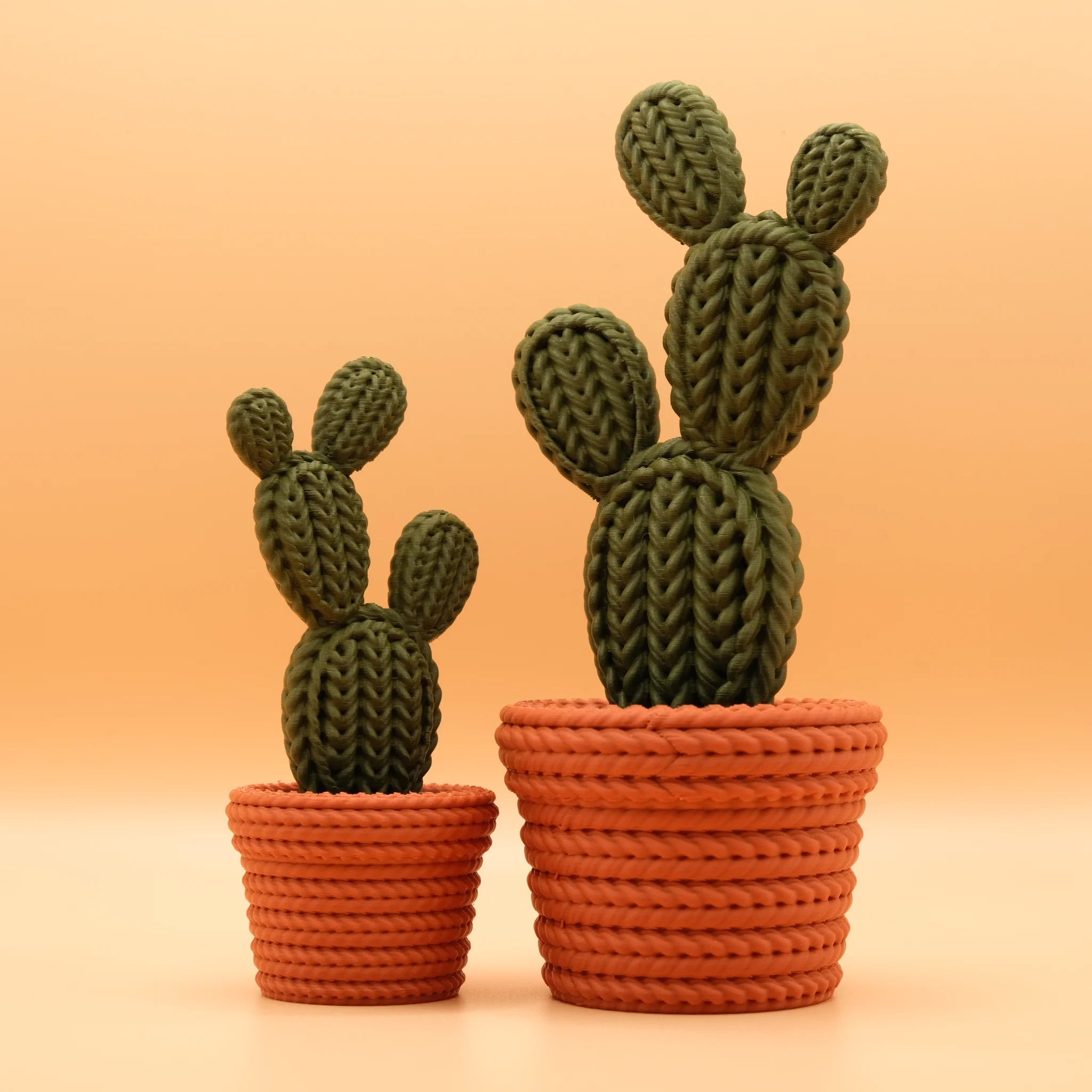 Gehaakte paddle cactus