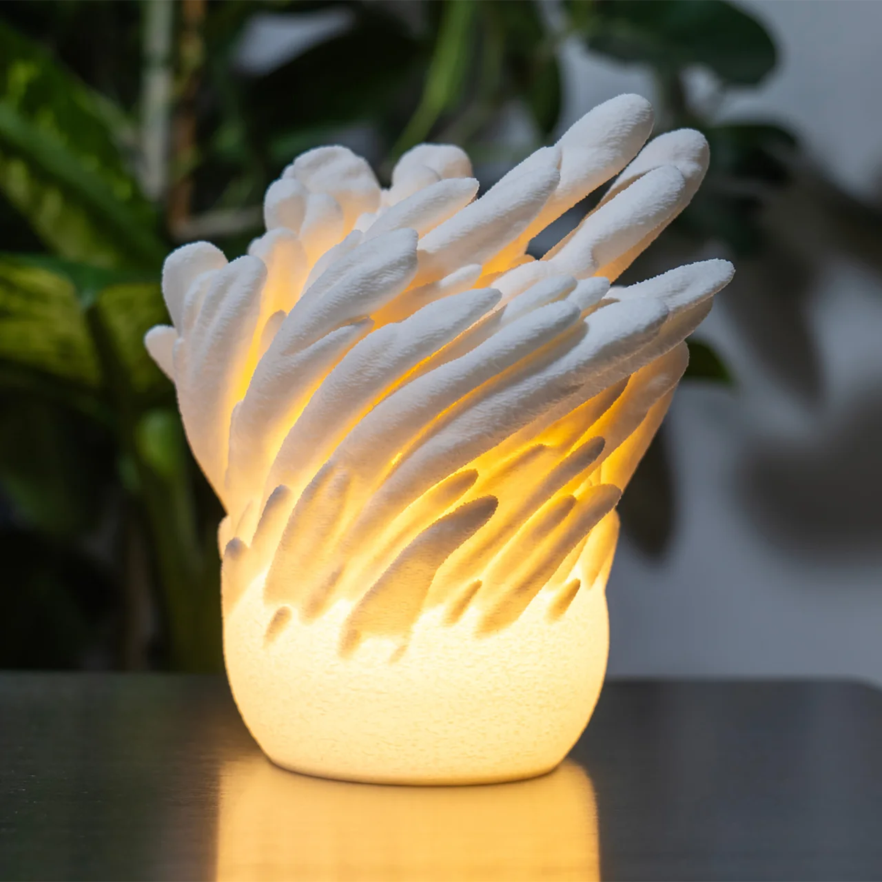 O16s - Underwater Bloom