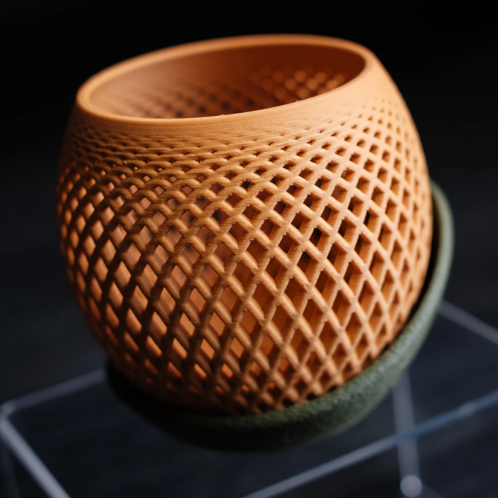 Polygon orchideeën pot