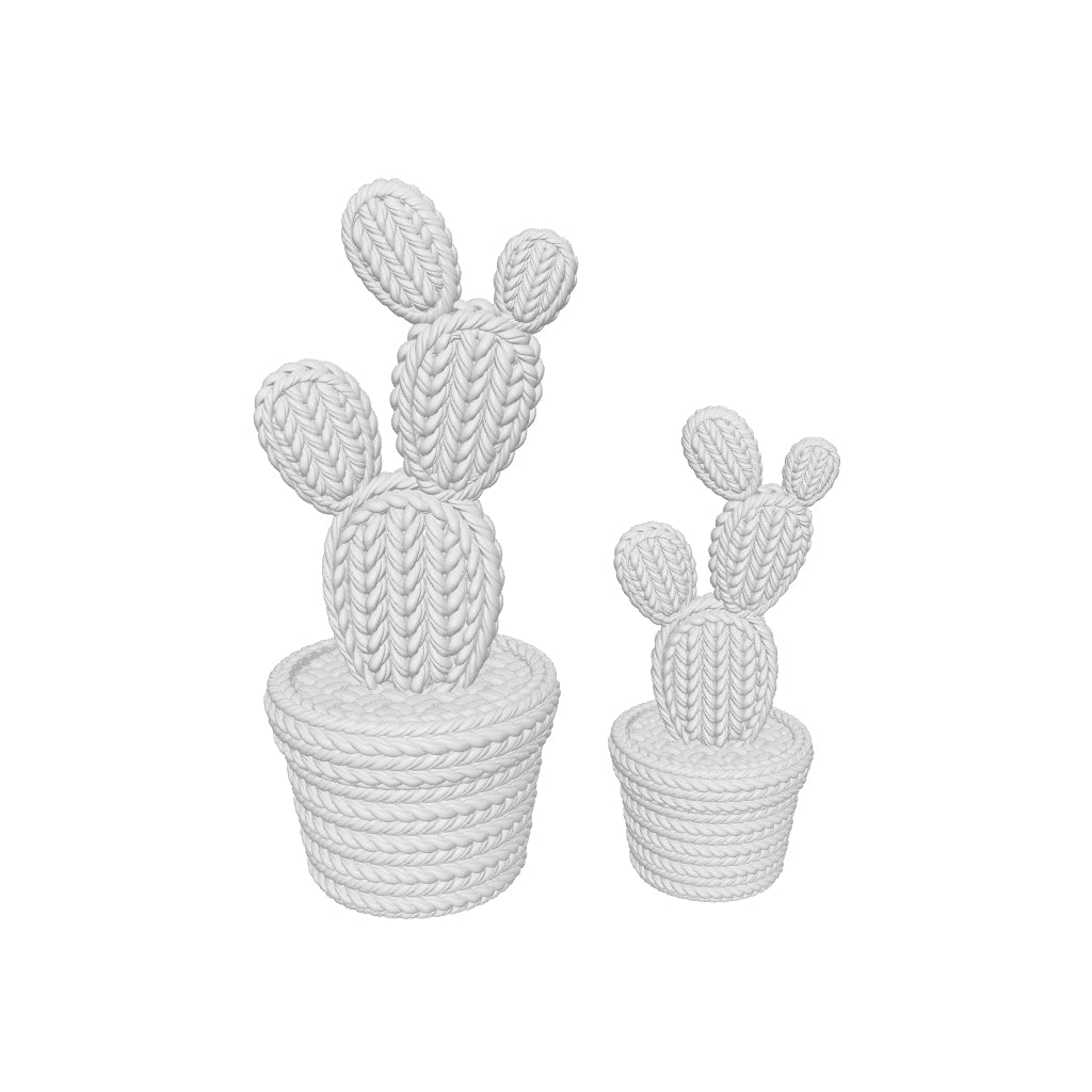 Gehaakte paddle cactus