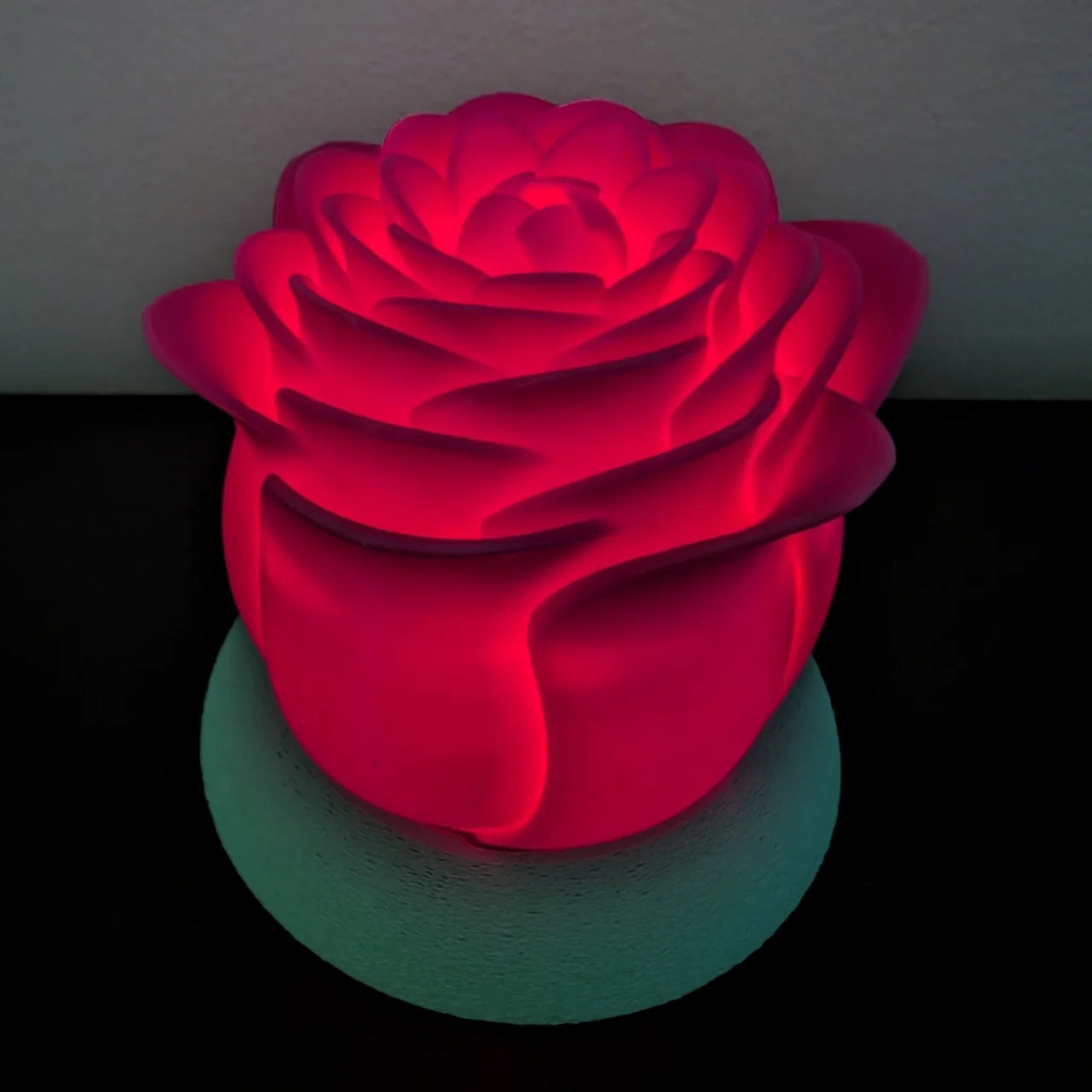 Illuminated Valentine rose