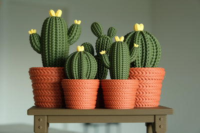 Cactusbundel met tafel en gieter