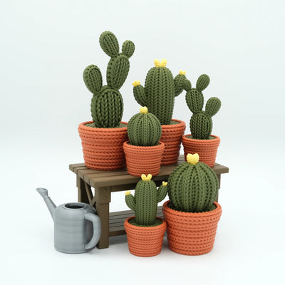 Cactusbundel met tafel en gieter