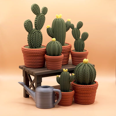 Cactusbundel met tafel en gieter