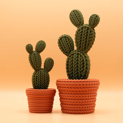 Cactusbundel met tafel en gieter