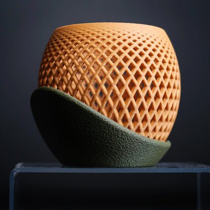 Polygon orchideeën pot